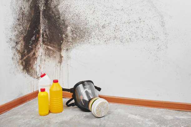 Best Crawl Space Mold Removal  in White City, OR