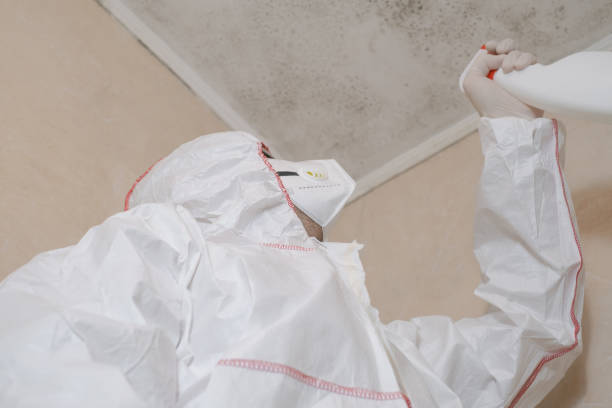 Best Mold Remediation Services  in White City, OR
